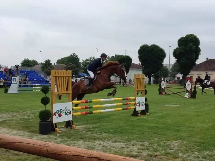 Galop Team na Danima travnjaka