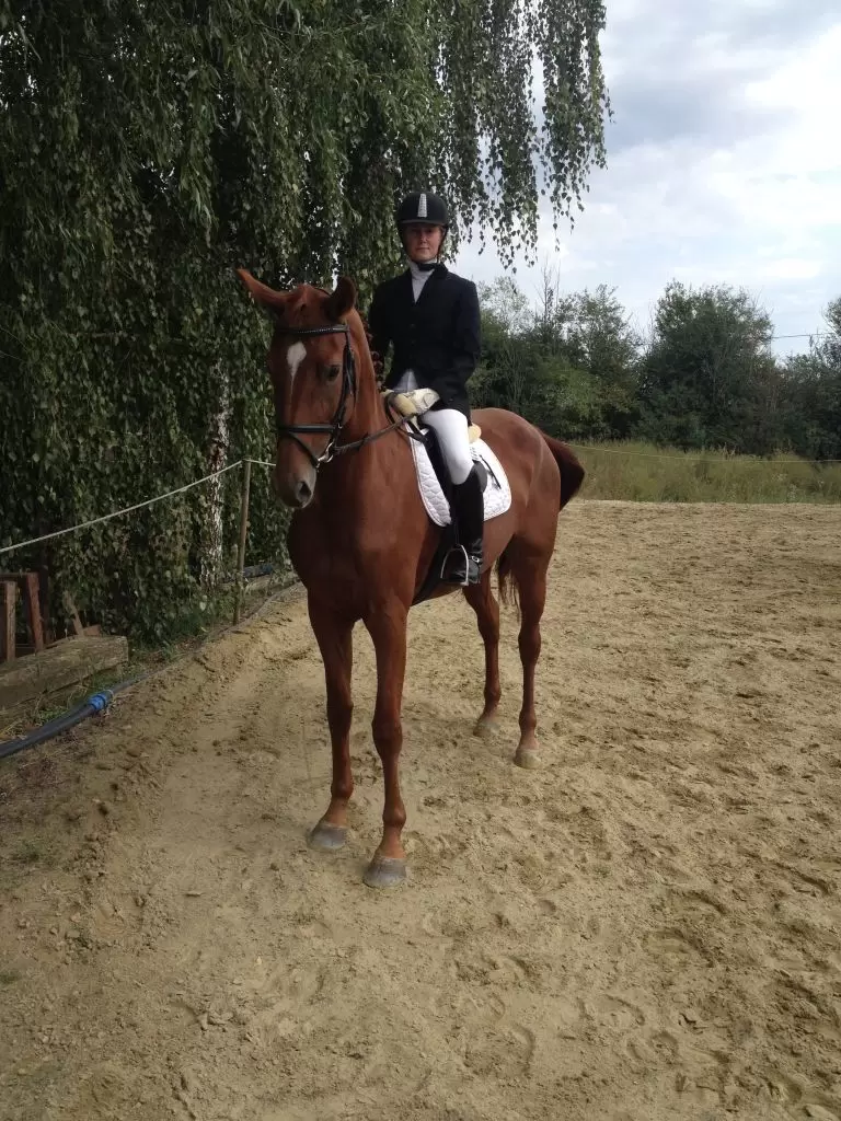 Galop Team na finalu Croatia Cup-a u dresurnom jahanju