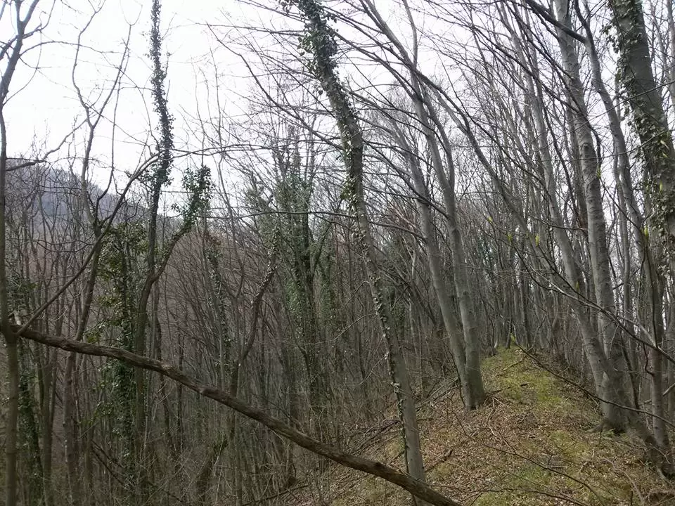 Ana Plantak i Marijan Lonjak najbolji na Minitrekingu Čevo