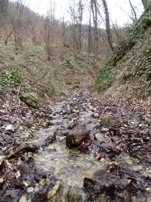 Ana Plantak i Marijan Lonjak najbolji na Minitrekingu Čevo