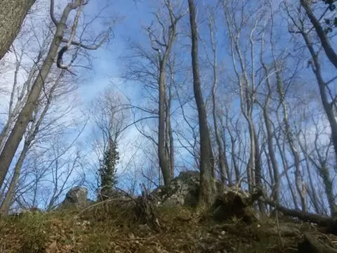 Ana Plantak i Marijan Lonjak najbolji na Minitrekingu Čevo