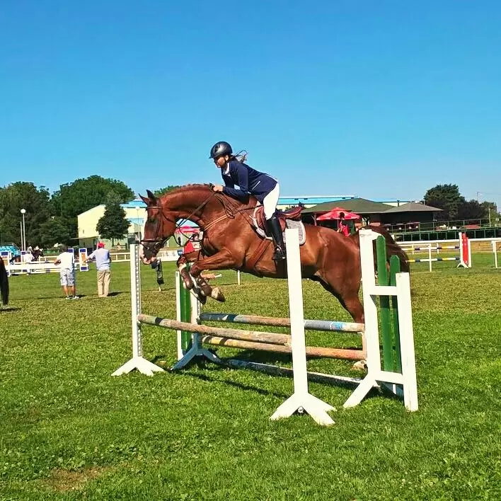 Galop Team na turniru u Zagrebu