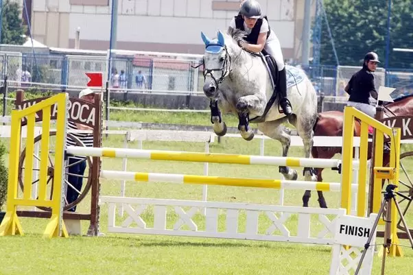 63. Tradicionalni Lipanjski turnir u Zagrebu – Alma Homar ukupni pobjednik Bronze toura