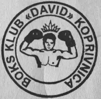 Boks klub DAVID – logotip